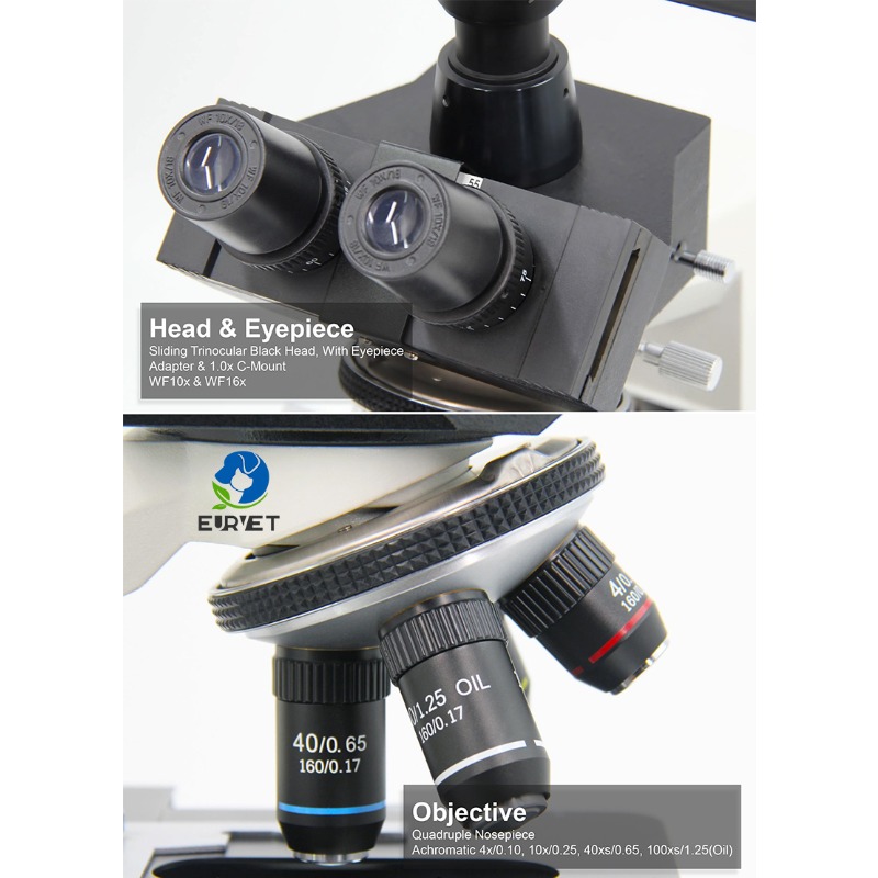 กล้องจุลทรรศน์ชีวภาพดิจิทัลสำห - Medical Laboratory Scientist บทวิจารณ์และราคา